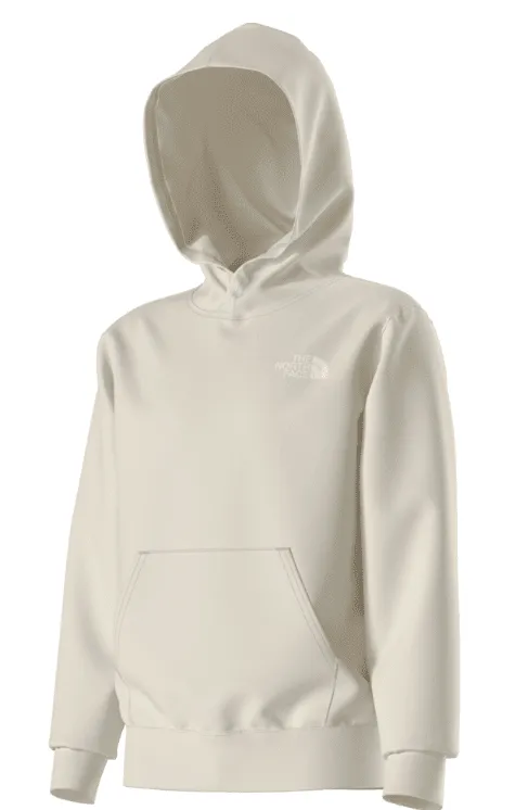 The North Face Teen Evolution Box NSE Pullover Hoodie - Image 2